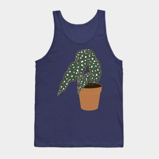 Begonia Maculata Plant – Clay Pot Tank Top